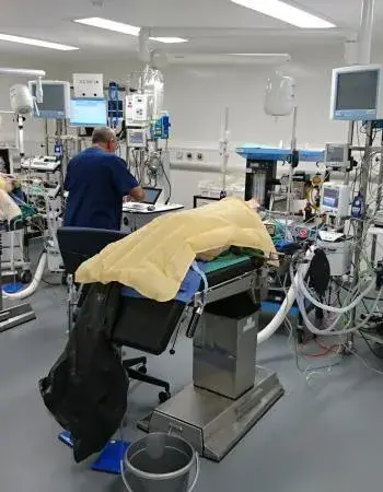 The Wellcome Trust Critical Care Laboratory for Large Animals will move into the LARIF