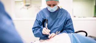 image of female veterinary surgeon in operating theatre