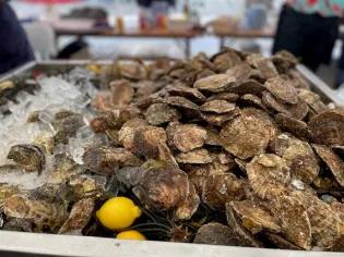 Oysters are displayed for sale.