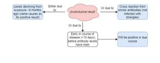 chart showing interpretation of inconclusive strangles blood test result