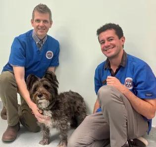 two male vets kneeling on the floor next to a cairn terrier 