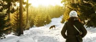 image of woman walking in the snow with her dog