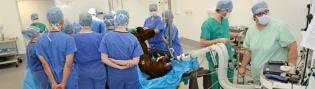 Veterinary surgeons in an operating theatre with a horse