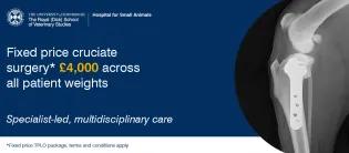 TPLO advert assoc image MB