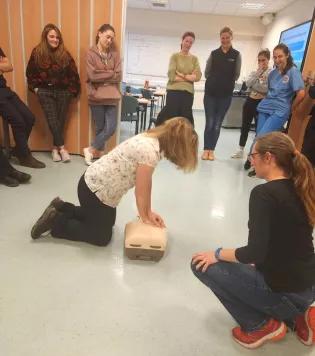 Practical group work by clinical veterinary staff