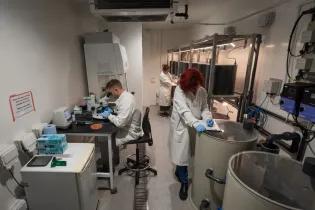 People working in the AGRF