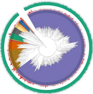 Metagenome assembled genome taxonomic tree from chicken caeca