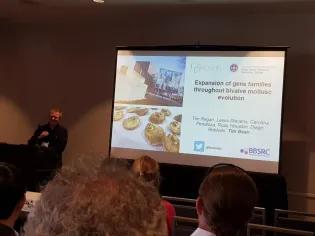 Tim Bean discusses bivalve evolution with other attendees.