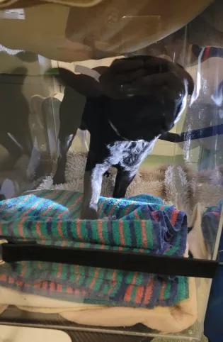 Gary in swallow box2