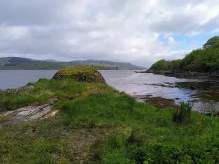 Tim Bean's group took to the field while testing samples for Bonamia.