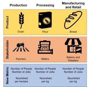 RISE conceptual framework