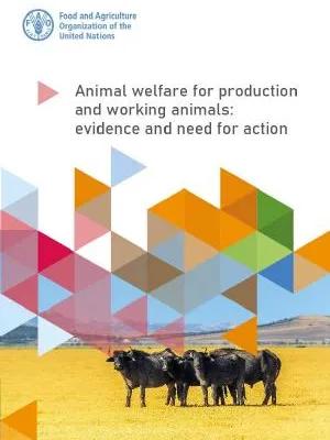 FAO pdf report cover