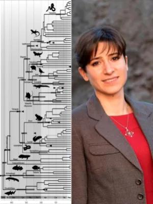 Maria F's profile picture