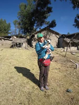 Dr Adriana Vallejo-Trujillo holds a lamb in Ayacucho, Peru, central Andes