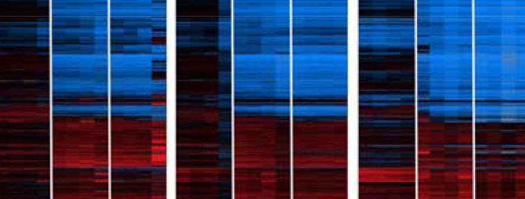 Gene discovery helps explain how flu can cause severe infections 