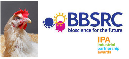 Image of the Biotechnology and Biological Sciences Research Council logo, Industrial Partnership Awards logo, and a chicken