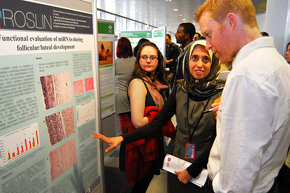 Students viewing posters