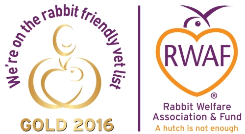 Rabbit award