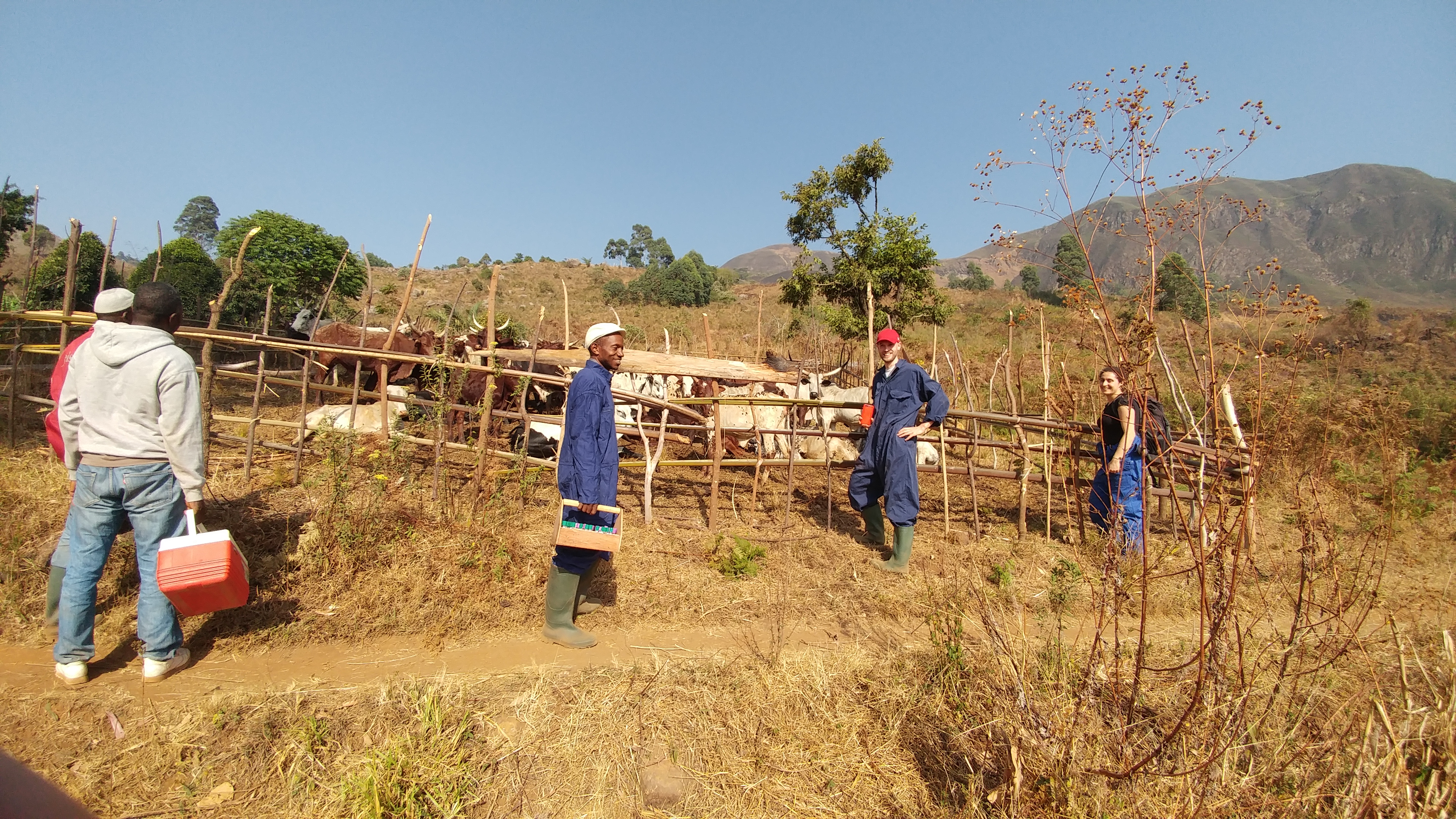 Field work in Cameroon