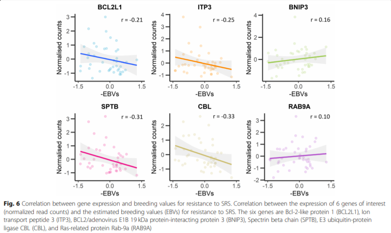 This graphic from BMC Genomics' article based on Carolina's work shows correlation between gene expression and breeding values.