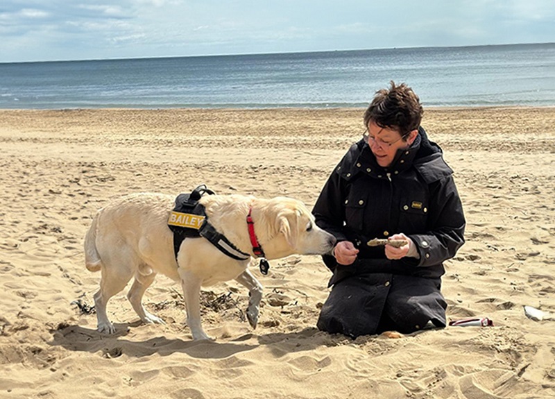 Golden labrador retriever on beach with a woman kneeling down in the sand