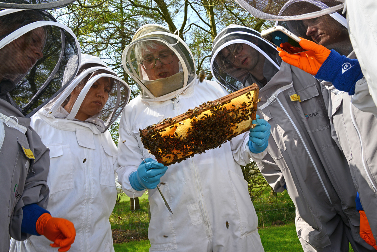 Beekeeping: citizen science workshop | Easter Bush Science Outreach ...