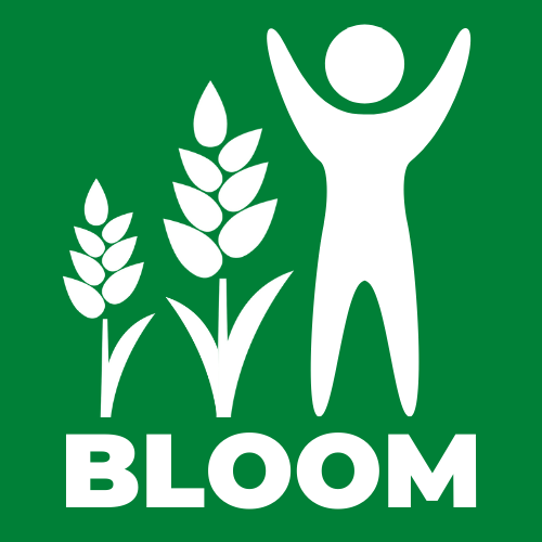 bloom