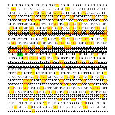 This is what a CpG island looks like in human alpha globin.