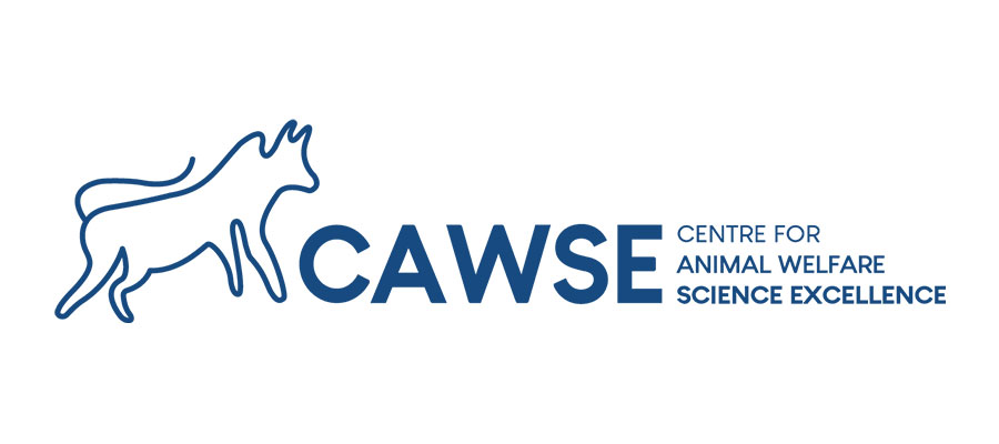 CAWSE logo