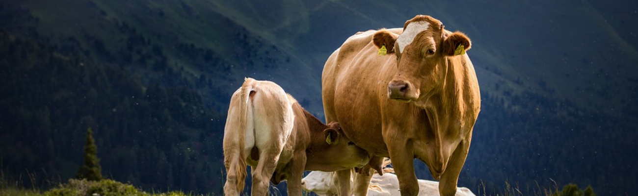 Introduction: Getting started with this course | Global Agriculture and ...