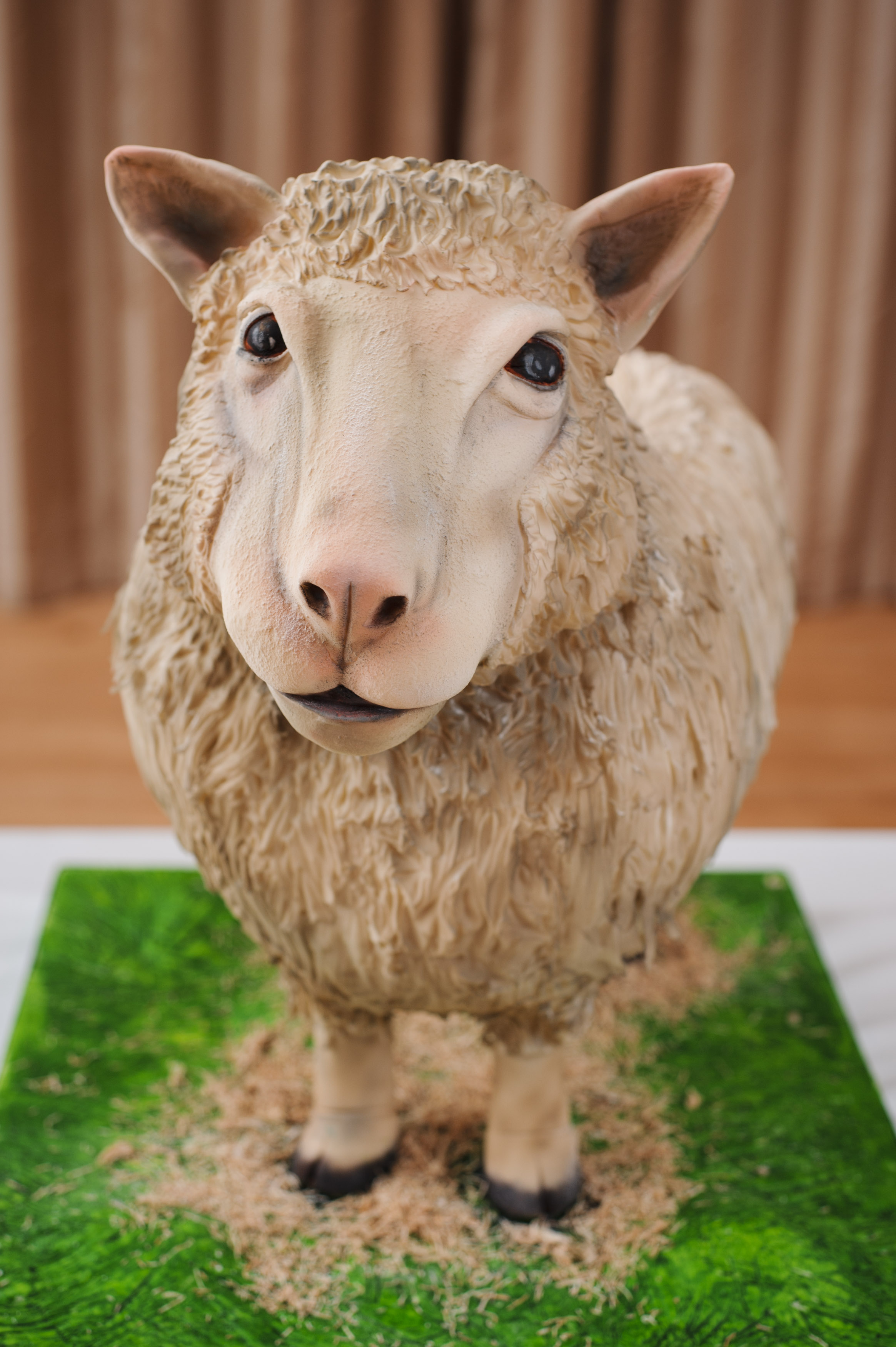 Dolly cake