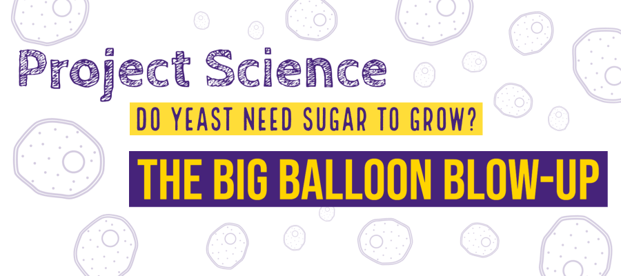 The Big Balloon Blow-Up | Easter Bush Science Outreach Centre | The ...