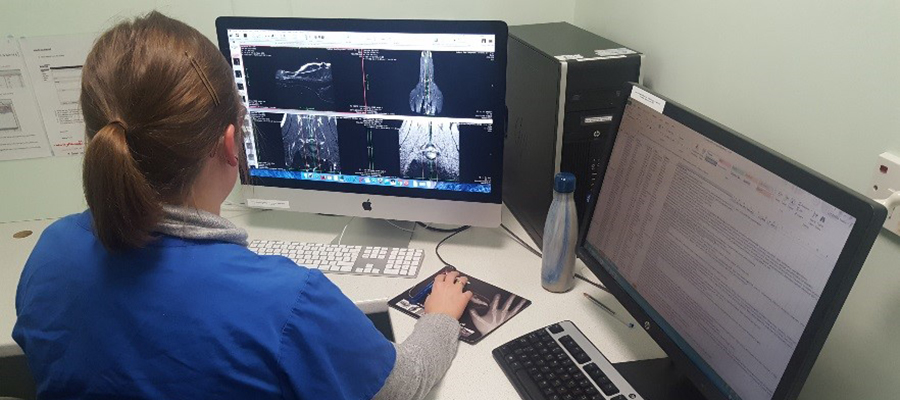 Digital radiography including dynamic digital radiography (live ...