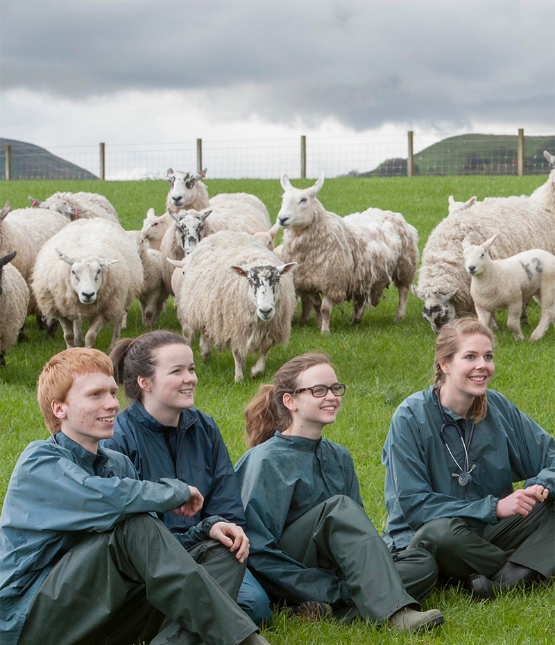 Students smiling at Langhill Farm