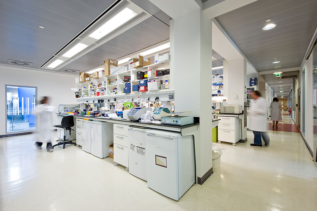 Scientists in lab coats in a laboratory at the Roslin Institute.