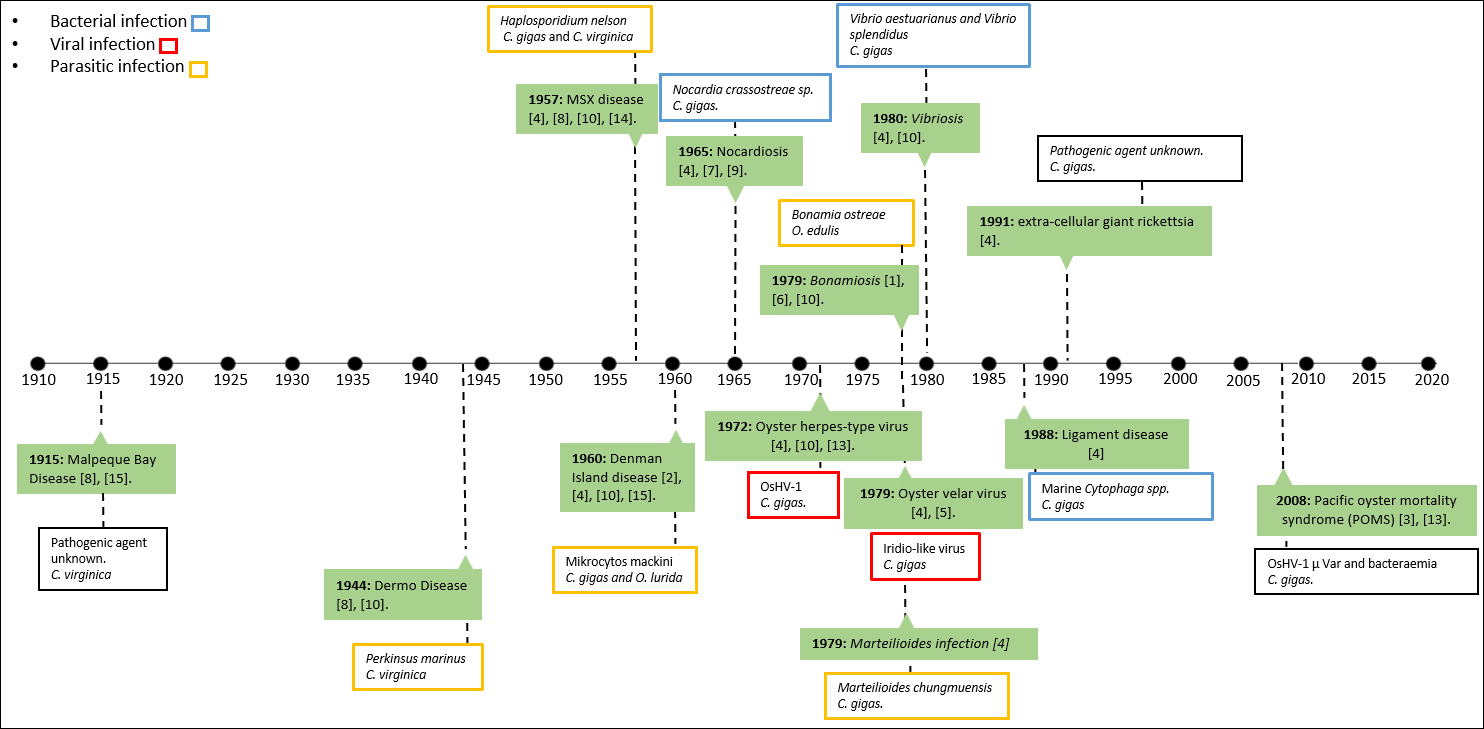 Hannah Farley's presentation diagram shows how diseases have impacted shellfish populations over the last 100 years.