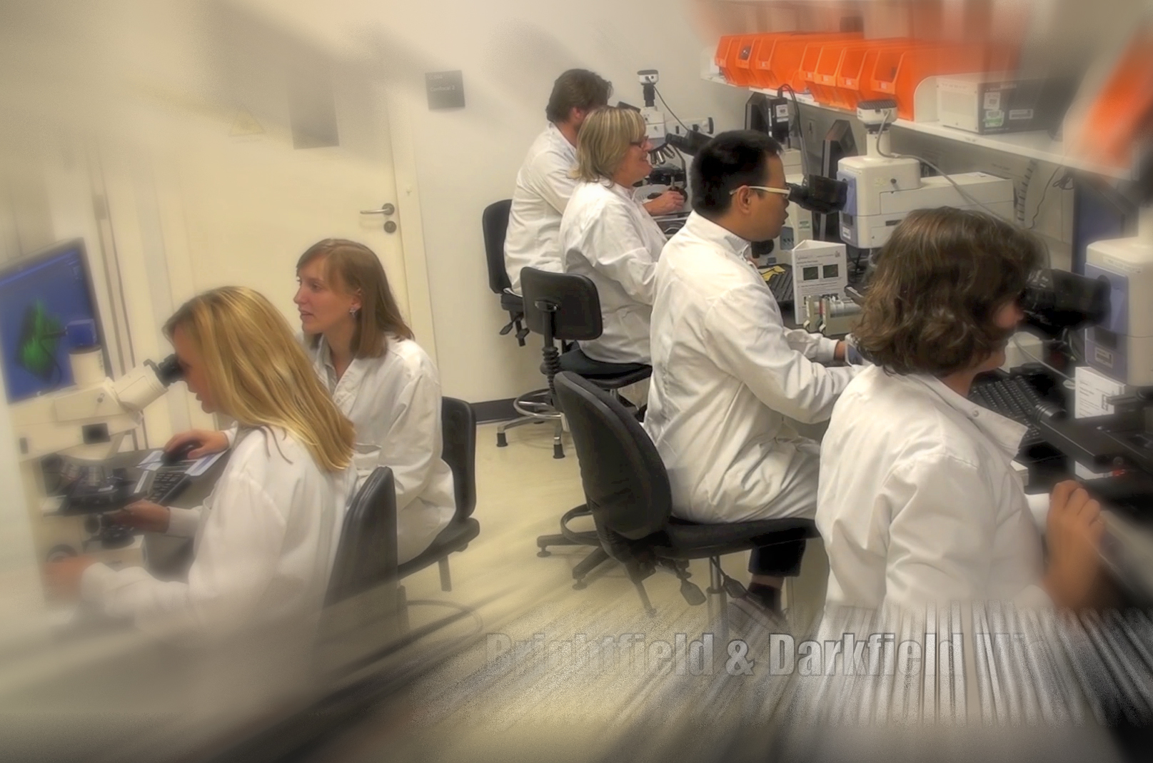 Standard Microscopy | The Roslin Institute | The Royal (Dick) School of ...