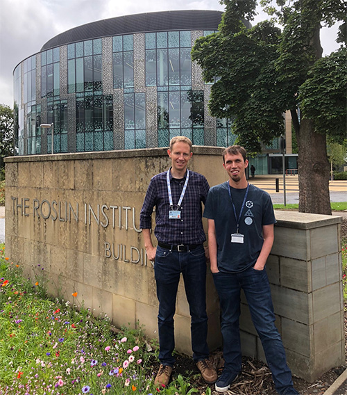 Ross Houston and Diego Robledo at The Roslin Institute.