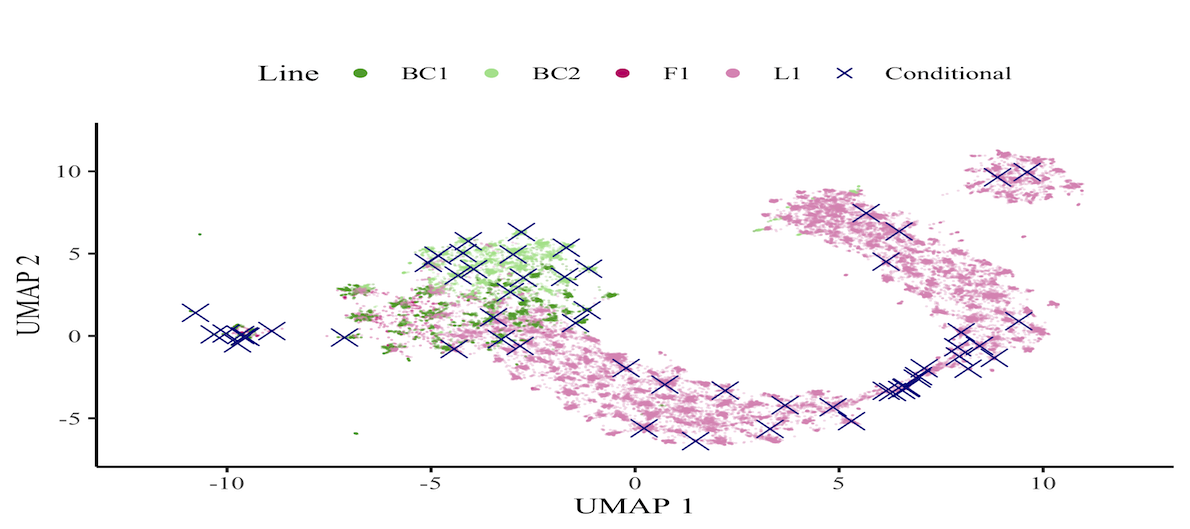 Optimising APY core subsets for scalable genomic prediction | The ...