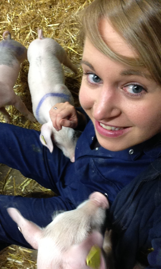 Dr Martin with piglets