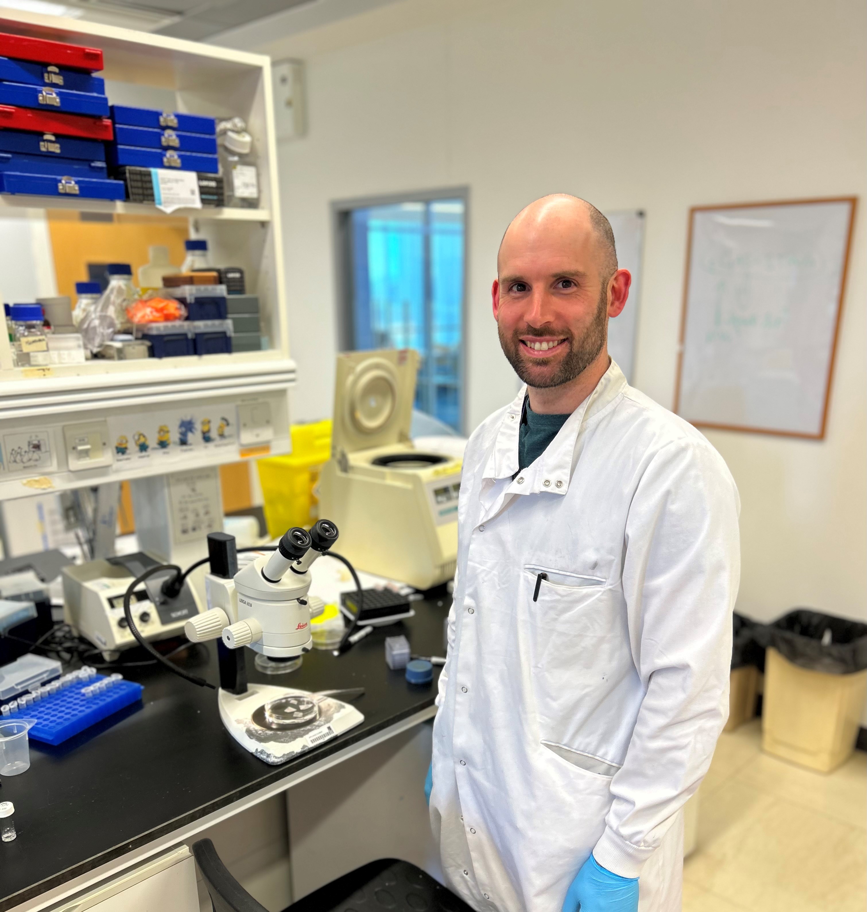 Dr James Glover on embryonic patterns | The Roslin Institute | The ...