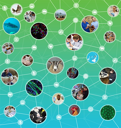 A collection of circular images representing work at The Roslin Institute including photos of animals and staff as well as microscope images.