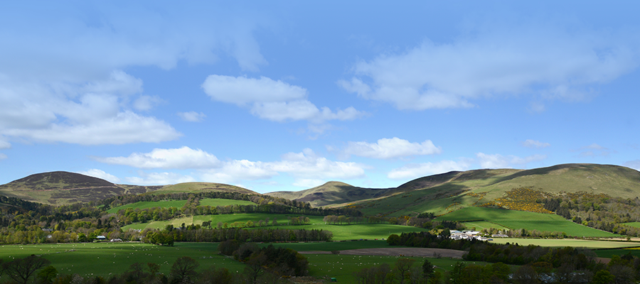 Pentland Hills from Easter Bush