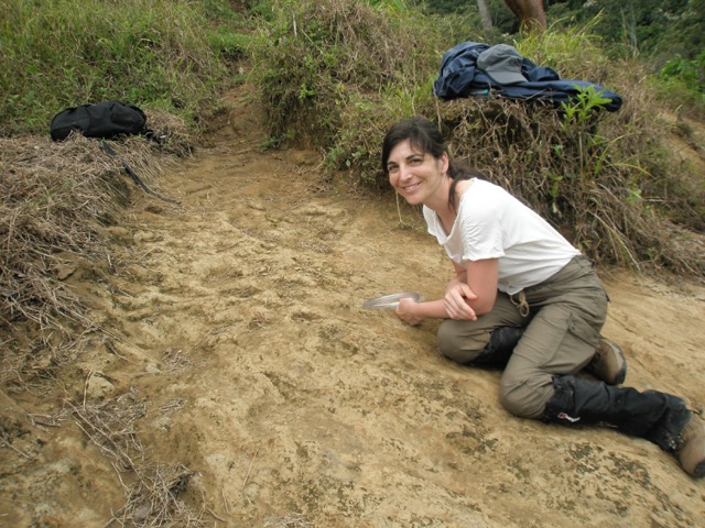 Dr Silvia Silvia Perez-Espona studying army ants.