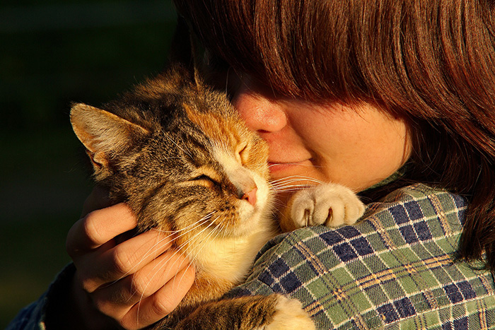 A person holding a cat.