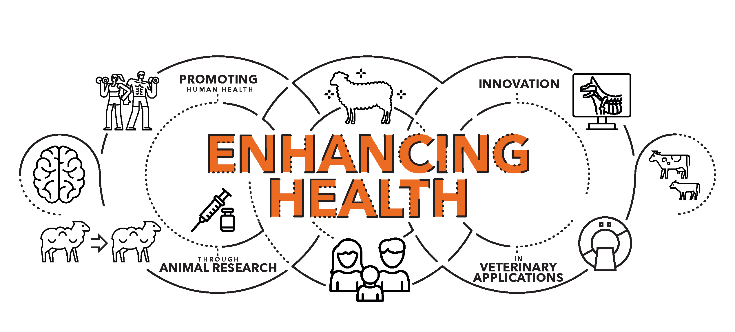 A graphic showing the relationship between promoting human health, animal research, and innovation in veterinary applications