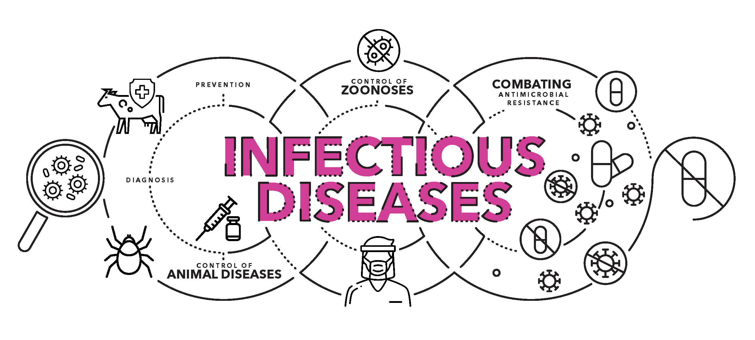 A graphic showing the relationship between disease and diagnosis, prevention, control of zoonoses, antimicrobial resistance and animal diseases