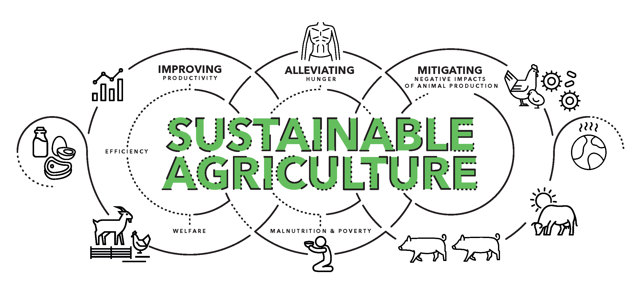 A graphic showing interactions between agriculture, hunger, malnutrition, productivity, welfare, efficiency, poverty and the negative impacts of animal production. 