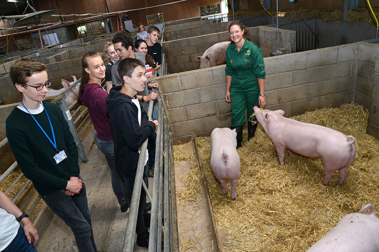 Students on the farm