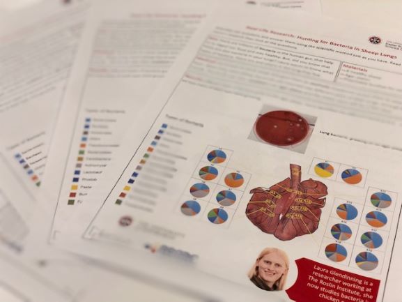 Hunting Bacteria Activity Sheets